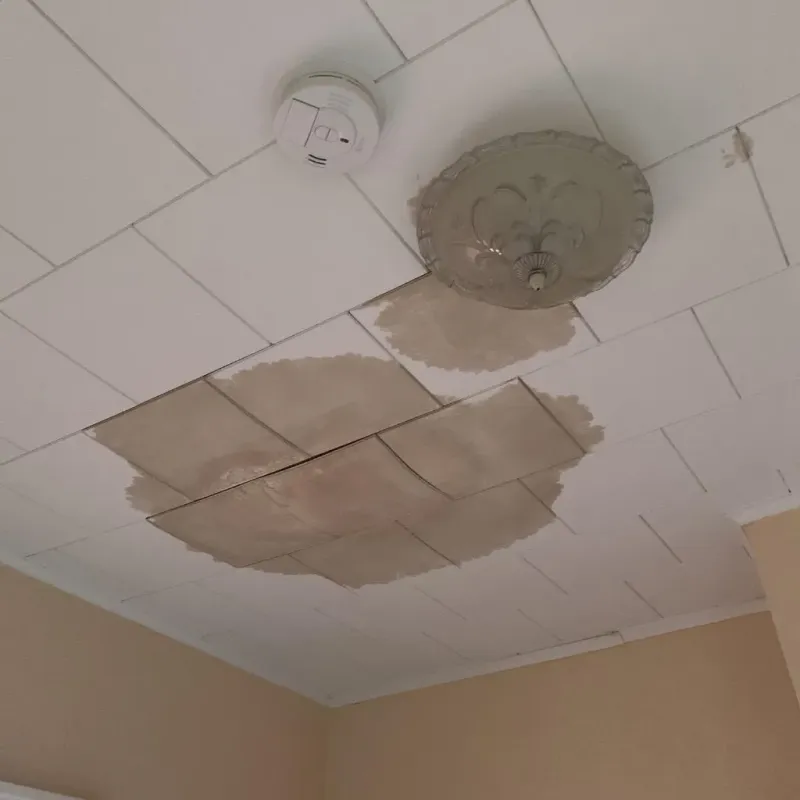 Ceiling Water Damage Repair in Castle Shannon, PA