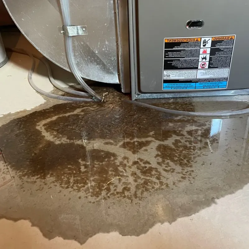 Pipe Burst and Leak Restoration in Castle Shannon, PA